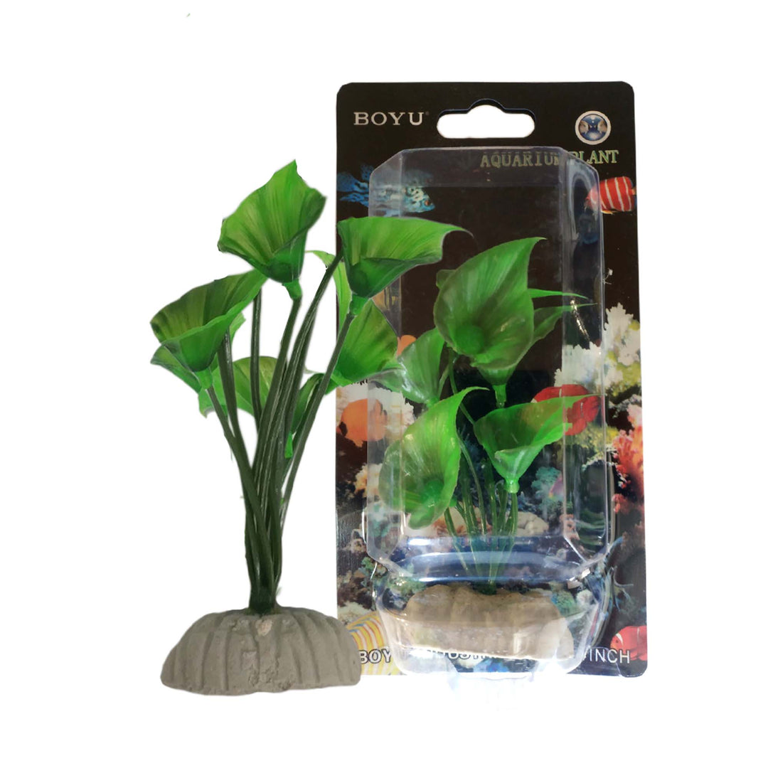 Boyu Plastic Plant 4"