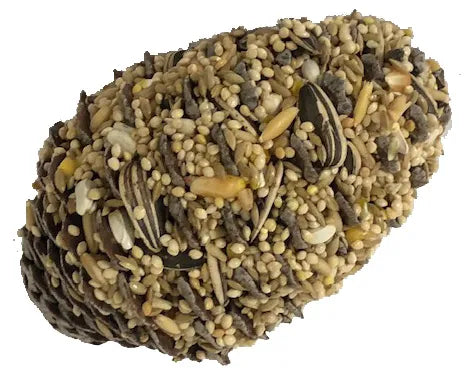 Seed PInecones