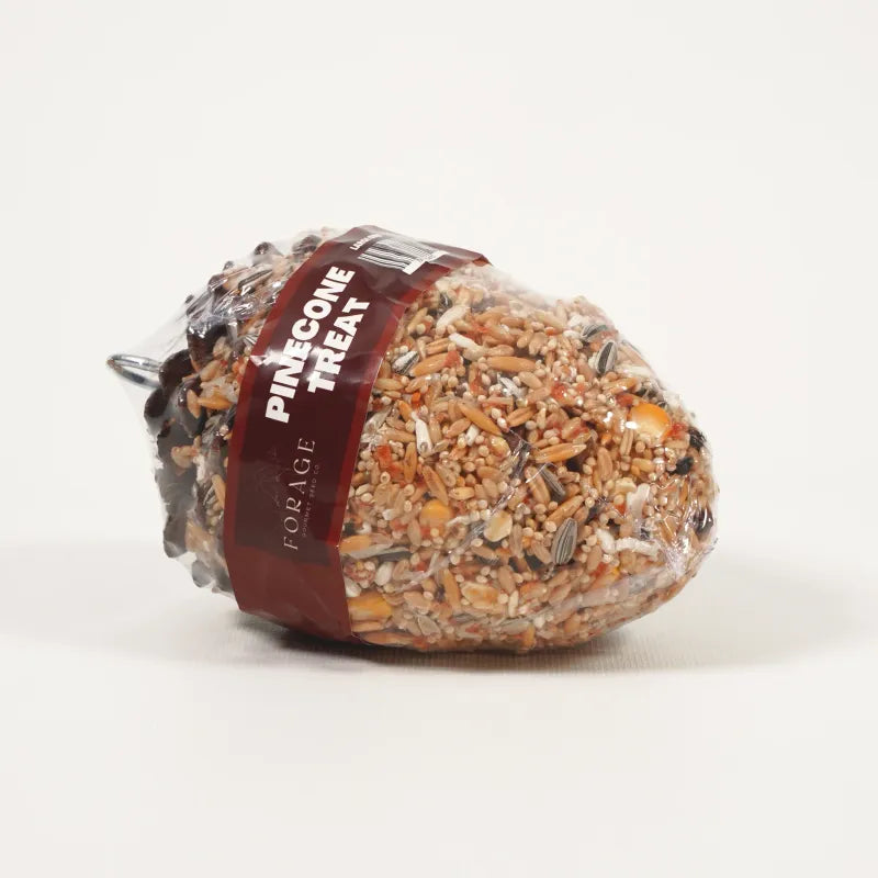 Seed PInecones