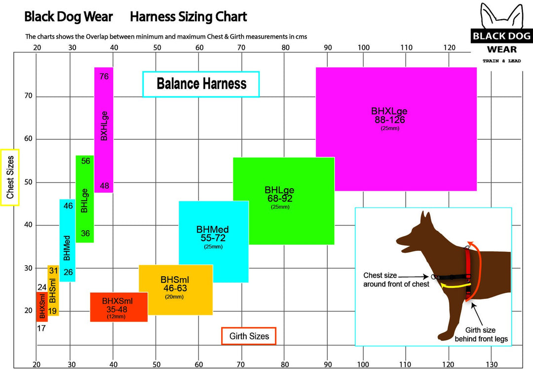 Balance Harness