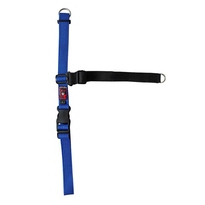 Balance Harness