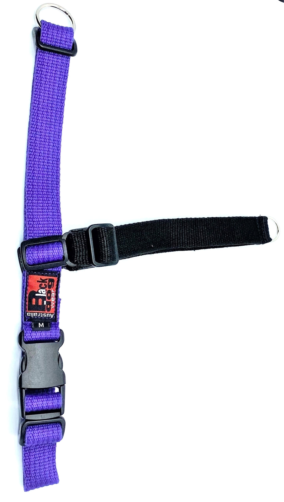 Balance Harness