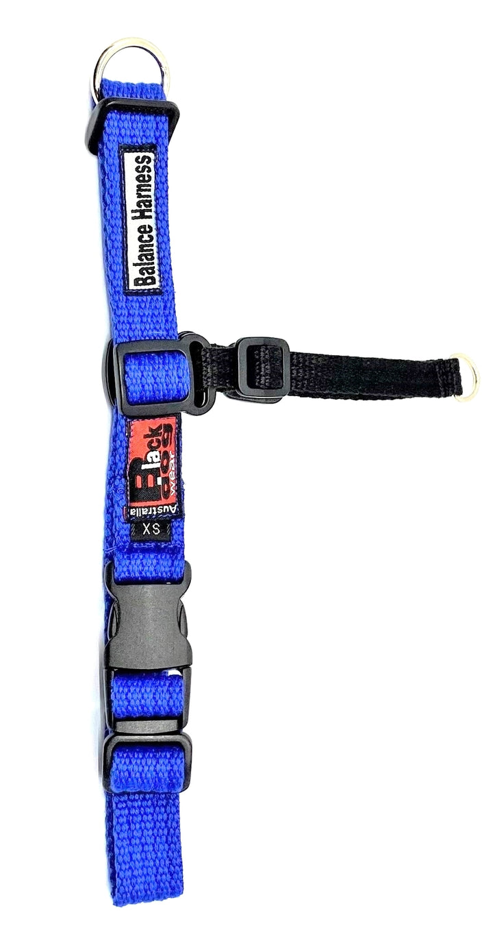 Balance Harness