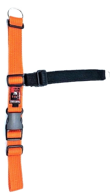 Balance Harness