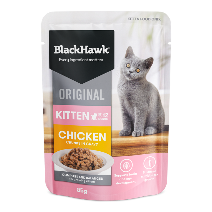 Blackhawk Kitten Wet Sachet