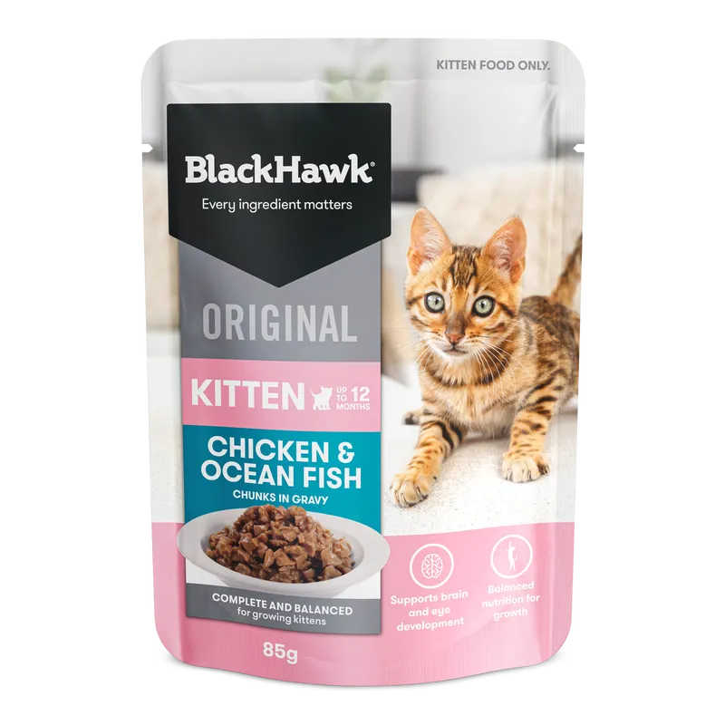 Blackhawk Kitten Wet Sachet