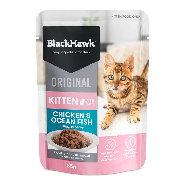 Blackhawk Kitten Wet Sachet