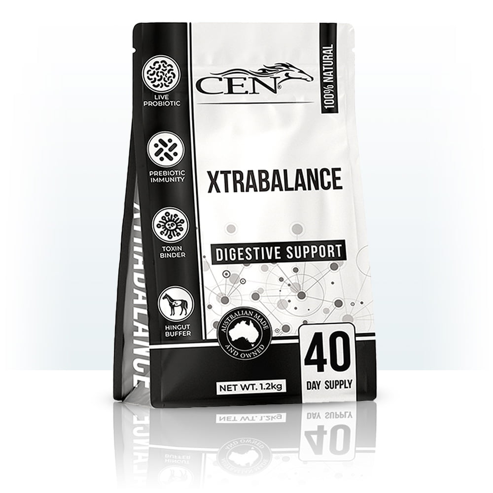 CEN Xtra Balance 1.2kg