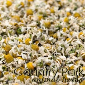 Chamomile Flowers