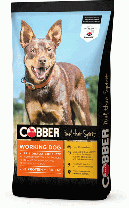 Cobber Working Dog 20kg