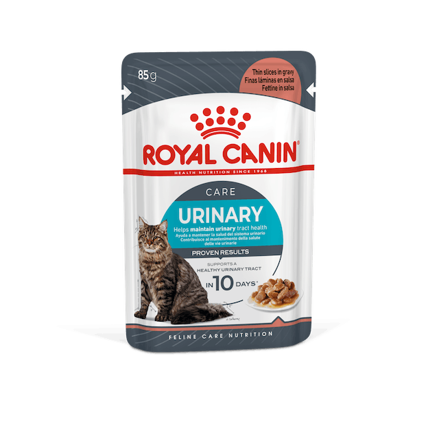 Royal Canin Cat Urinary Care Wet