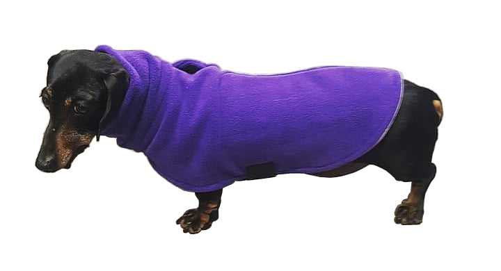 Long Neck Skivvy Dachshund Style