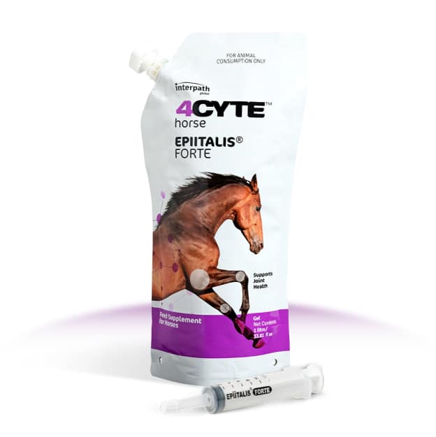 4Cyte Equine Epiitalis Forte