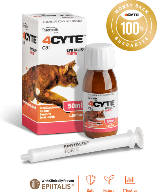 4Cyte Cat Epiitalis Forte Gel