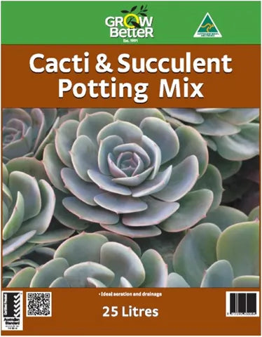 Cacti Mix