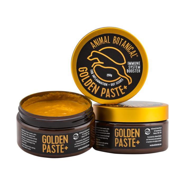 Golden Paste