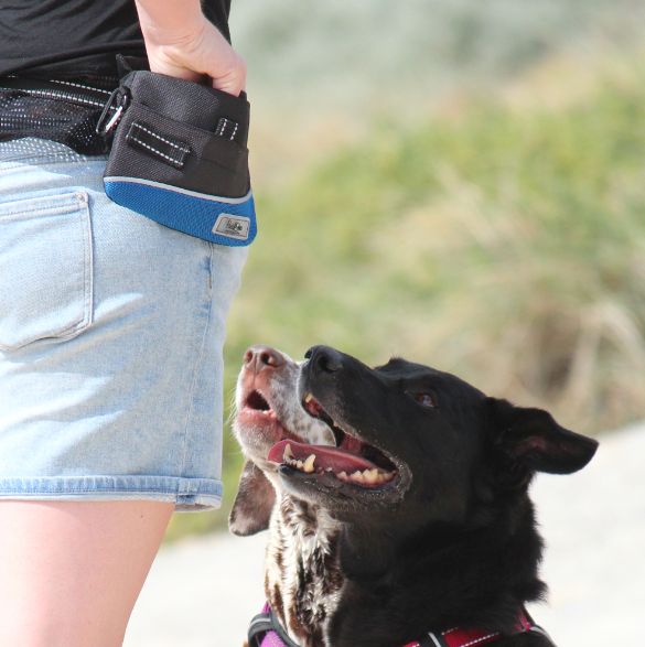 Huskimo Dog Treat bag