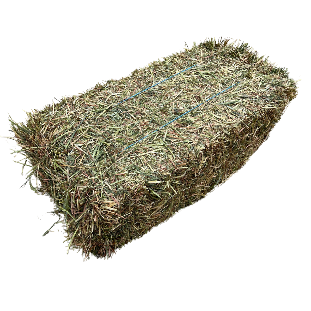 Oaten Hay