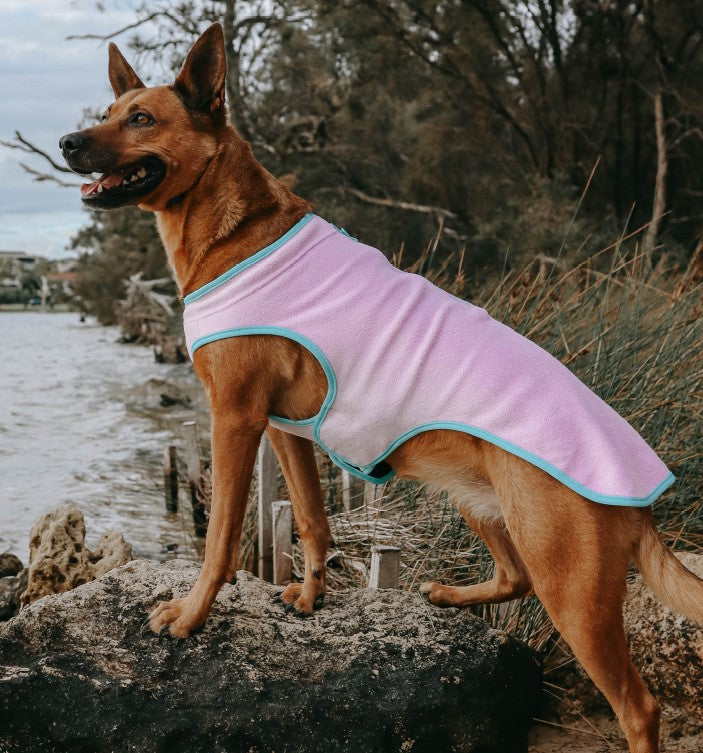 Huskimo Dog Coat CHILL