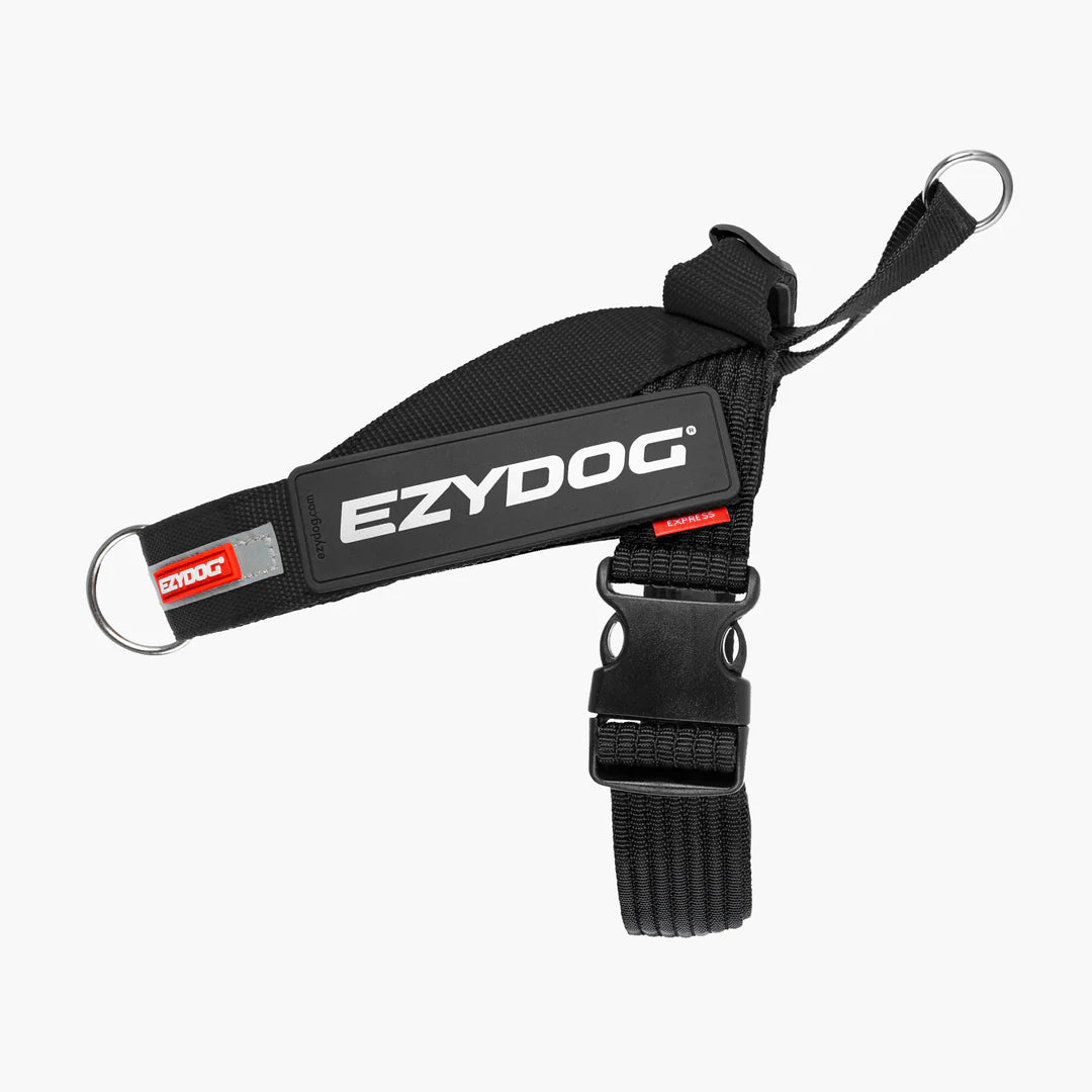 Express Harness