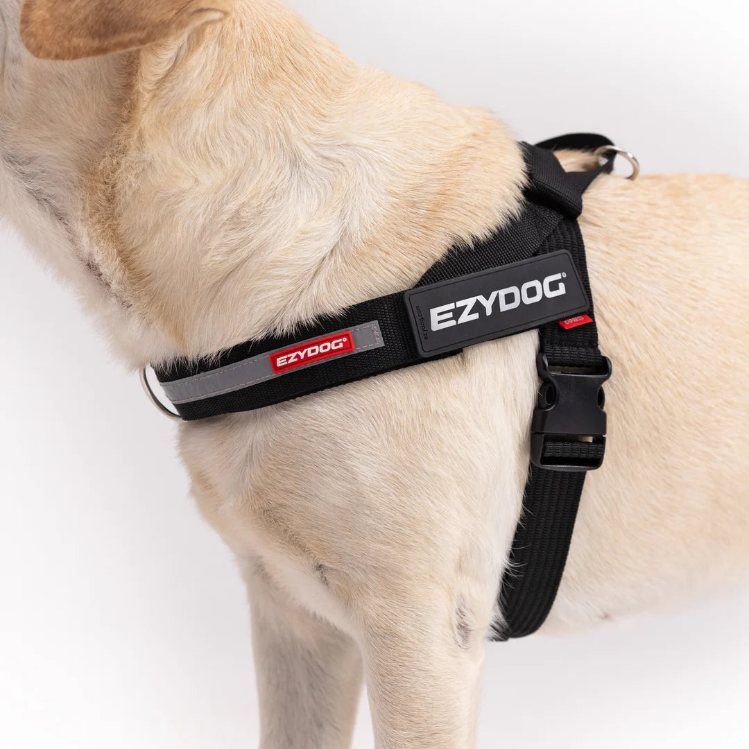 Express Harness
