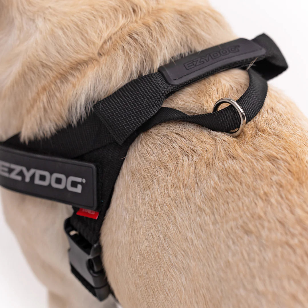 Express Harness