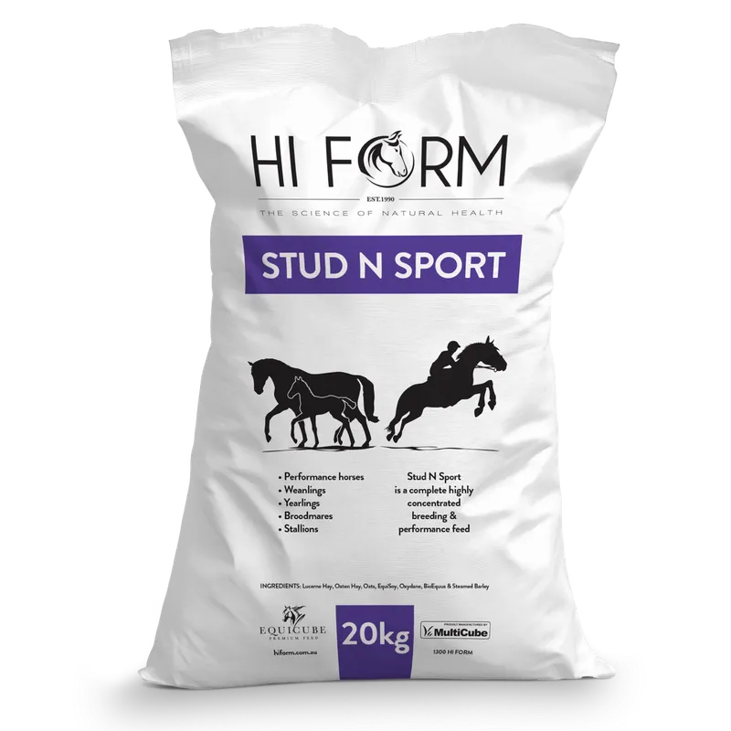 HiForm Equicube Stud n Sport