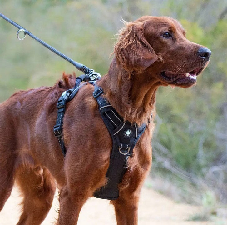 Huskimo Dog Harness Ultimate