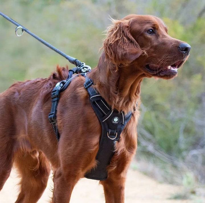 Huskimo Dog Harness Ultimate
