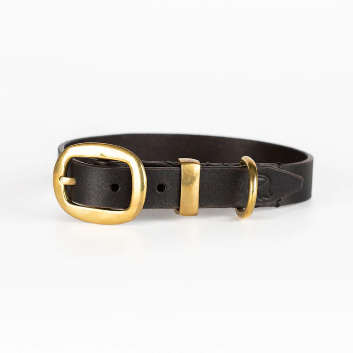 Jax Collar