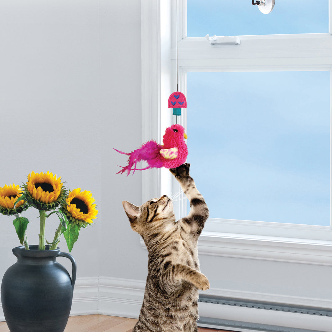 Connects Window Teaser