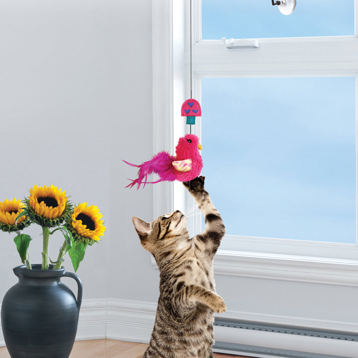 Connects Window Teaser