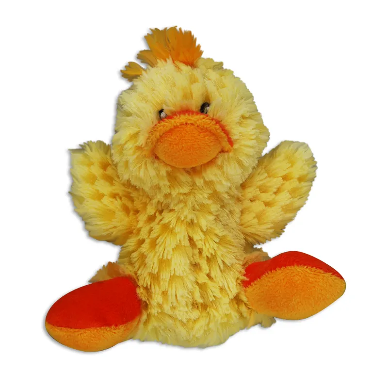 Dr. Noyz Duck