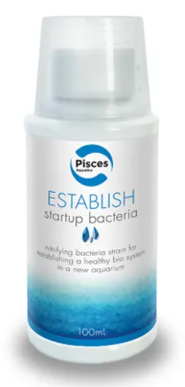 Establish - Beneficial Bacteria