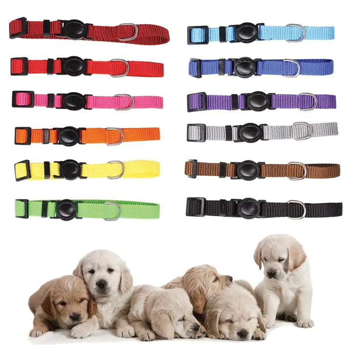 Breakaway safety ID collars