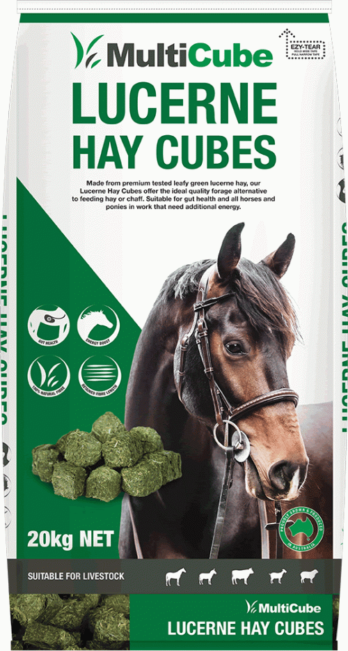 Multicube Lucerne Hay Cubes 20kg