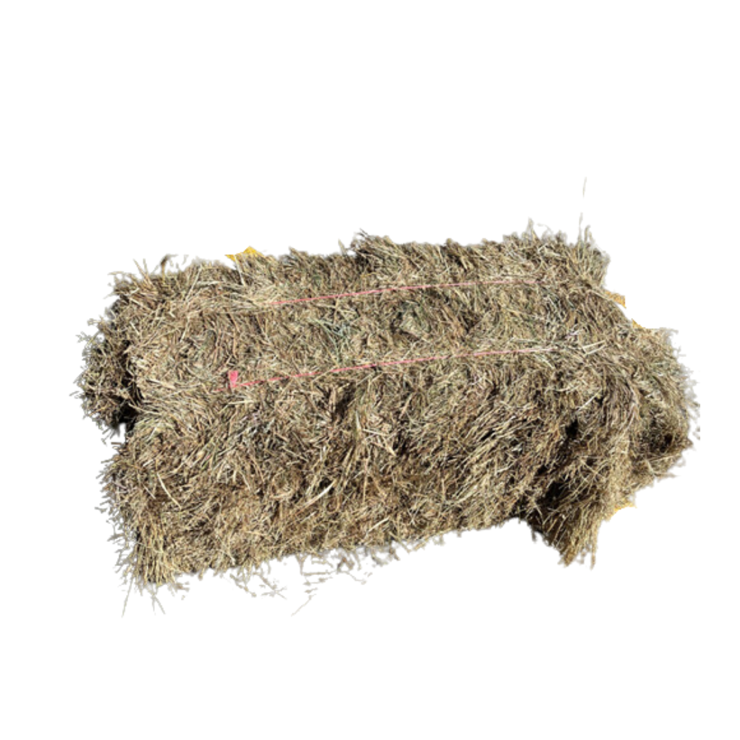 Pasture Hay Local