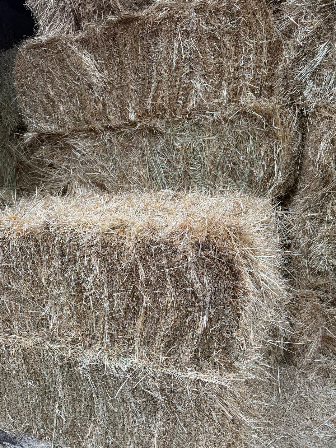 Premium local pasture hay