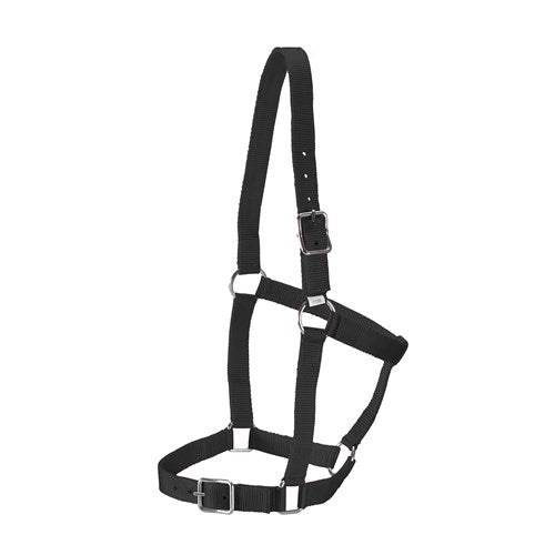 Stable Halter Black