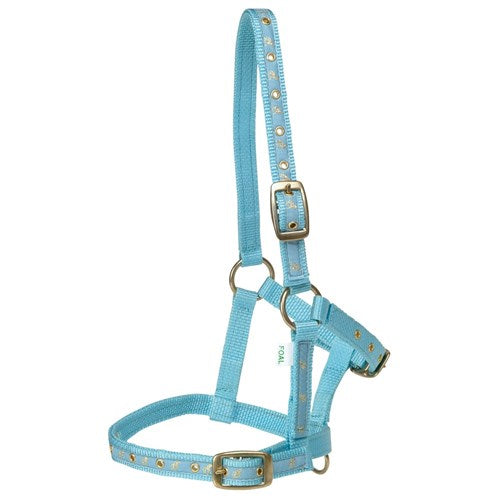 Deluxe Foal Holter