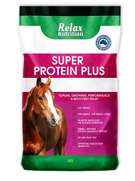 Relax Super Protein Plus