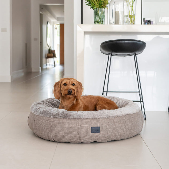 Harley Puppacino Dog Bed