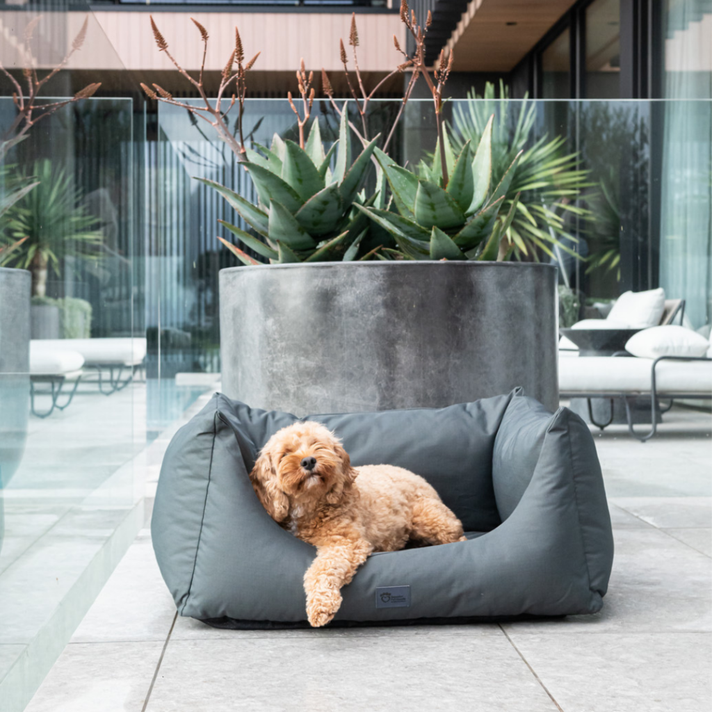 High Sided Hideout Ortho Dog