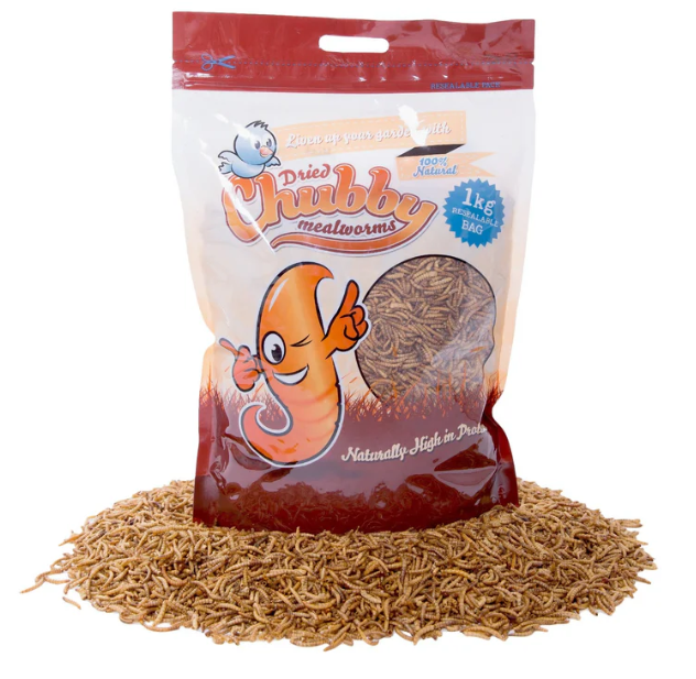 Chubby Mealworms