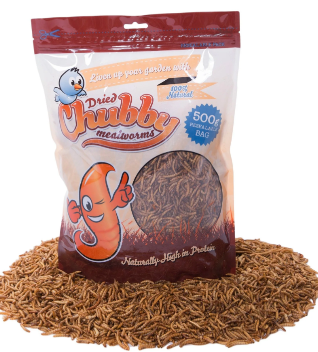 Chubby Mealworms