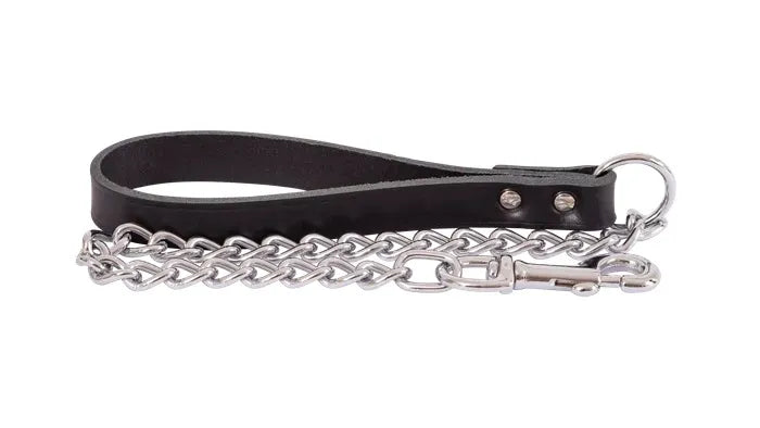 Chain Lead & Leather Handle