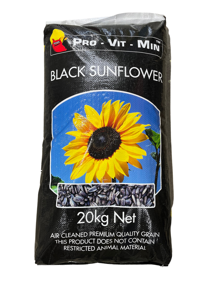 Black Sunflower