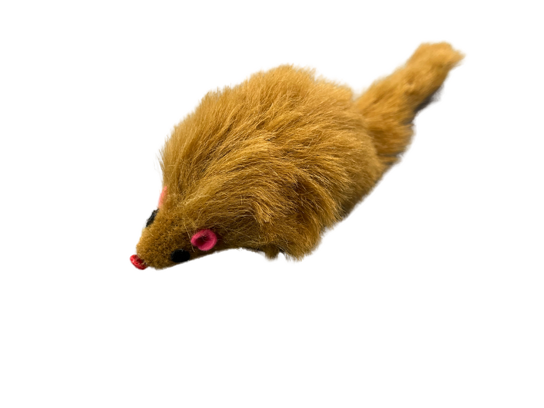 Cat Mouse toy