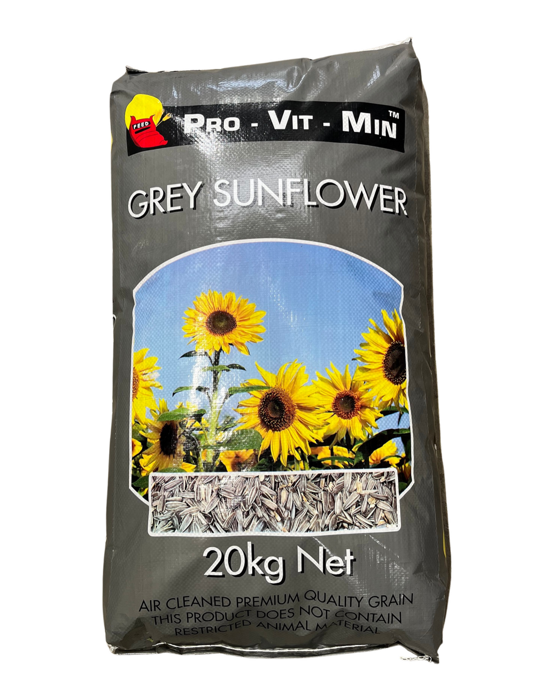 Grey Sunflower