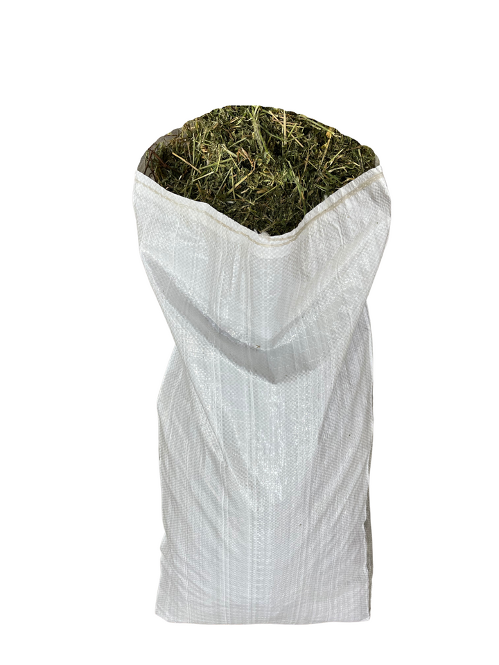 Lucerne Hay